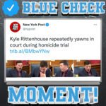 Blue Check Moment NY Post II